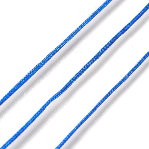 43 Yards Nylon String Friendship Bracelets String 0.8mm Nylon Beading Thread Braided Chinese Knotting Cord Macrame Cords for Kumihimo Necklaces Tassels Jewelry Crafts (Blue)