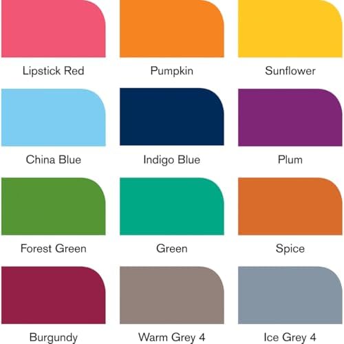 Winsor & Newton ProMarker Set, 12 Count, Tattoo Tones