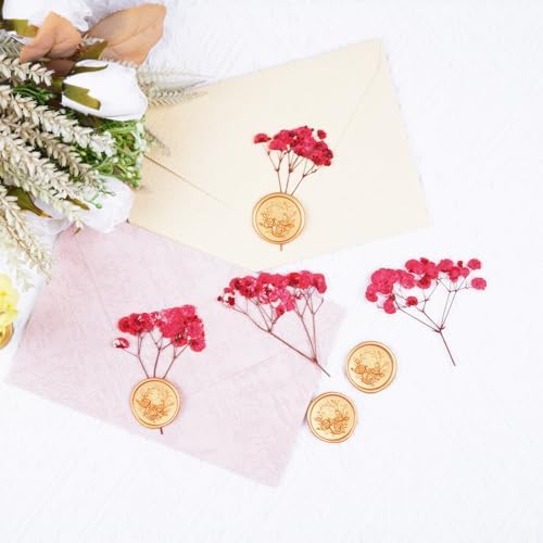 50Pcs Red Babys Breath Dried Pressed Flowers for Crafts,Xinxinran Dry Flowers Kit for Wedding Invitation Accessories,Bookmark,Jewelry Molds,Candle Making Supplies,Soap,Frame,Cakes