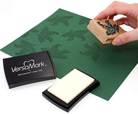 Tsukineko VM000001 Full-Size VersaMark Pigment Inkpad, 3-Inch X 2-Inch, Clear