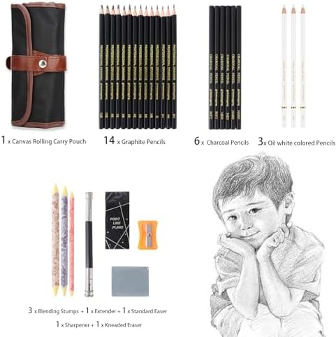 Heshengping 31 Drawing Sketching Pencils Kit, Portable Artist Supples Travel Case Set has Graphite, Charcoal, white color pencil, Blending Stump, gift for Adults Beginners for Drawing Sketch