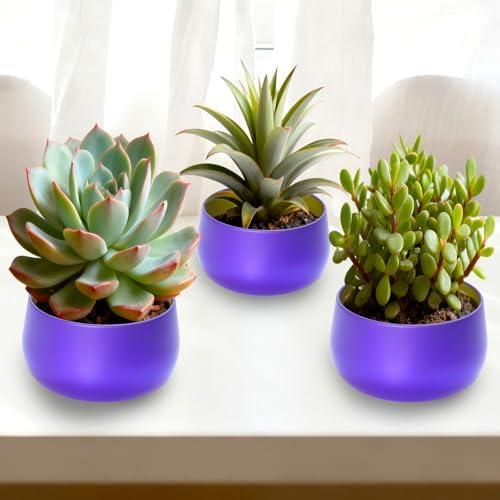 HOMAMAMOON 24 Pack 8oz Purple Candle Tins for Making Candles - Bulk Metal Candle Containers with Lids. Empty Round Candle Jars for DIY & Travel. Shatterproof & Sturdy Vessels for Small Business.