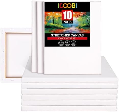 10 Pack 8x10 Stretched Canvases for Painting