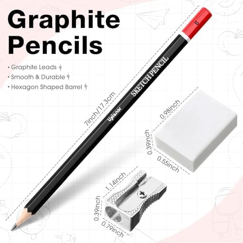Professional Sketch Pencil Set, 14 Piece Drawing Pencils (12B-6H), Graphite Charcoal Art Pencils with Eraser and Sharpener in Metal Tin Case