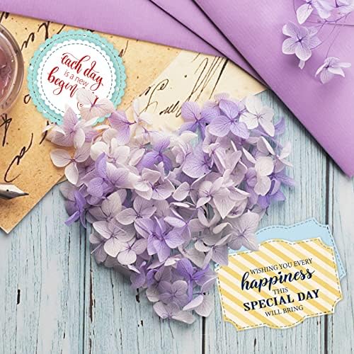 INFUNLY Word Stamp and Die for Card Making Label Rectangle Die Cuts Round Frame Metal Cutting Dies Inspirational Quotes Transparent Rubber Stamps for DIY Scrapbooking Paper Photo Album Decor