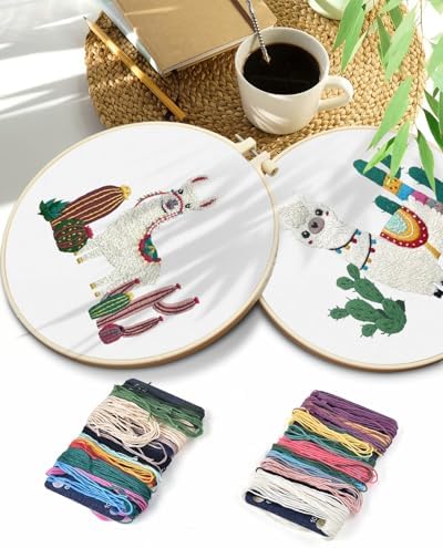 TINDTOP Embroidery Kit for Adult Beginners, Embroidery DIY Starter Kit
