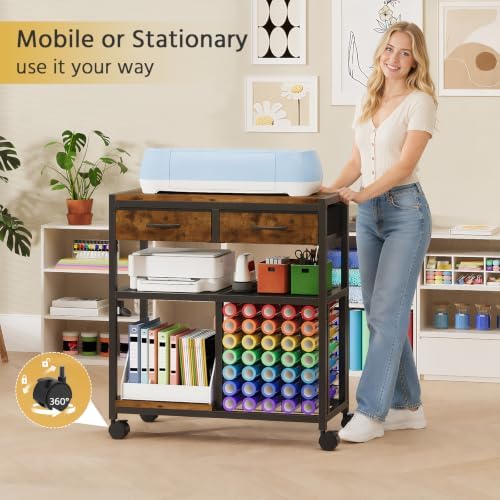 Craft Cart with 2 Fabric Drawers, Craft Organizer and Storage Stand Compatible with 35 Vinyl Roll Holders, Vinyl Roll Storage and Organization Holder