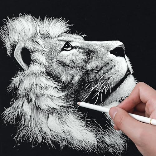 HIFORNY 8 Pieces White Charcoal Pencils Drawing Set for Drawing, Sketching, Shading, Blending - Chalk Pencils for Beginners & Artists