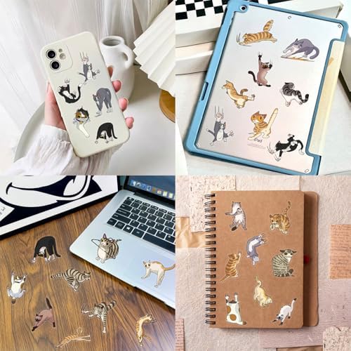 50Pcs Cartoon Cat Scratch PET Stickers