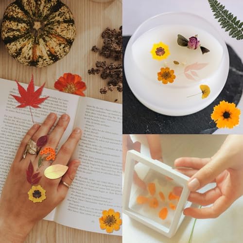 Dried Flowers 68Pcs Fall Pressed Flower with Tweezer for Crafts