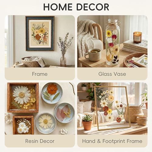 LUXEEASE 100P Vintage Cream Brown Dried Pressed Flowers | Earthy warm palette, maple, silver greenery, curly twigs, for resin jewelry scrapbook wedding frame candle, tweezers included