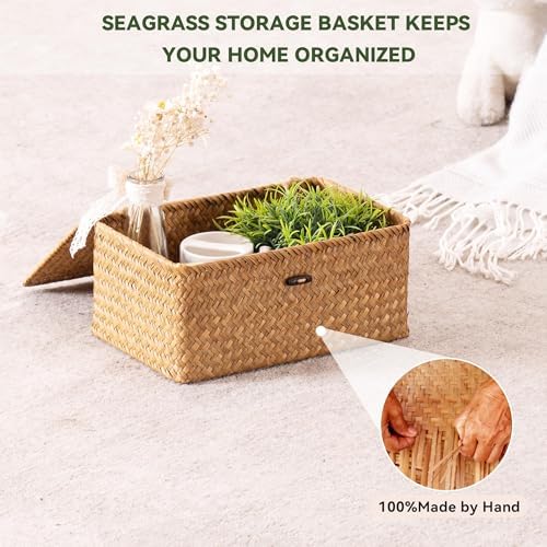 Nonam Wicker Storage Basket with Lid,Seagrass Shelf Basket Set of 2,Natural