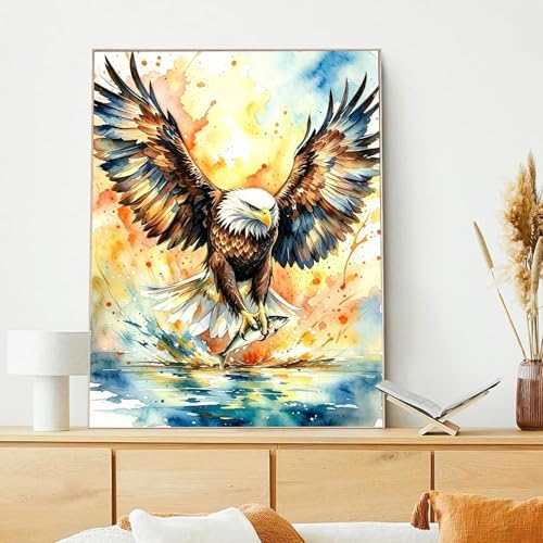 xcemhil Eagle Paint by Numbers Kit for Adults Beginner, Eagle Paint by Acrylic Paint by Number Kits Suitable for Home Wall Art Decor Gifts 16x20 Inch