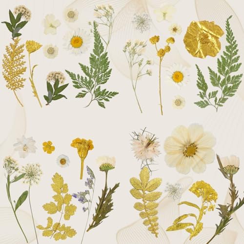 85 Pcs Dried Flowers for Crafts