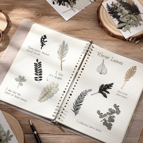 Timtin 84 Pieces Dried Pressed Leaves Dried Flowers for Resin Dried Leaves for Resin Mini Dried Flowers for Crafts Dried Greenery Assorted for Art DIY Handmade Bookmarks 4 Bags (Stylish Style)