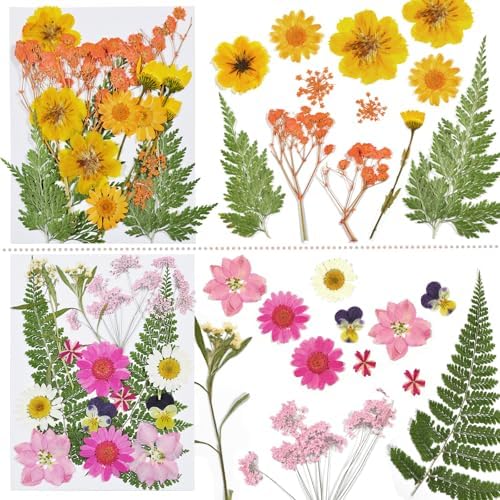 Dried Flowers for Resin