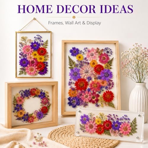 70 pcs Dried Flowers for Resin, Natural Flowers and Leaves Kit with Tweezers, Vacuum Sealed DIY Pressed Flowers for Jewelry Molds, Candle Soap Making, Scrapbook, Nail Art (Colorful-C)