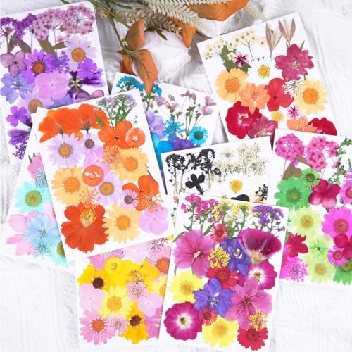 190Pcs Dried Pressed Flowers for Craft,Xinxinran Dry Flower Kit for Resin