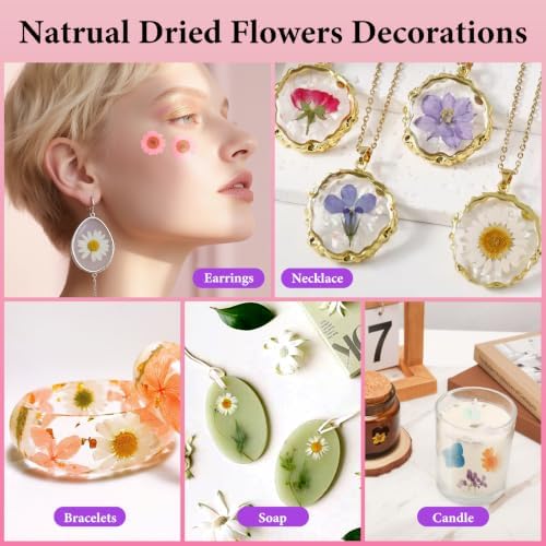 NESCCI 210 Pcs Dried Pressed Flowers for Resin,Real Nature Dried Flowers for Crafts Bulk Dry Flowers Leaves Kit Used for Resin Molds Scrapbooking DIY Art Crafts Candle Soap Making Nails Décor