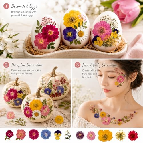180 pcs Dried Flowers for Resin, Natural Flowers and Leaves Kit with Butterfly Stickers, Vacuum Sealed DIY Pressed Flowers for Jewelry Molds, Candle Soap Making, Scrapbook, Nail Art (Colorful-E)
