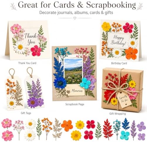 155 pcs Dried Flowers for Resin, Natural Flowers and Leaves Kit with Butterfly Stickers,Vacuum Sealed DIY Pressed Flowers for Jewelry Molds, Candle Soap Making, Scrapbook, Nail Art (Colorful-B)