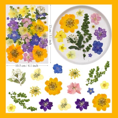 MIKIYA 34Pcs Pressed Dried Flowers for Resin, Assorted Real Natural Bulk Dry Leaves for DIY Art Crafts, Epoxy Molds, Jewelry, Soap, Candle Making, Nails Decors