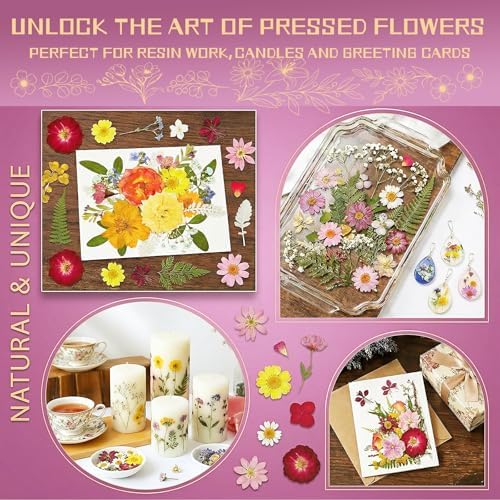 Dried Pressed Flowers for Resin
