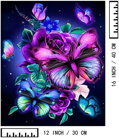 BAISITE Paint by Numbers Kit for Adults Beginners,12" Wx16 L 2 Pack Canvas for Painting Kits for Adults in Colorful Box 5152 Already Framed