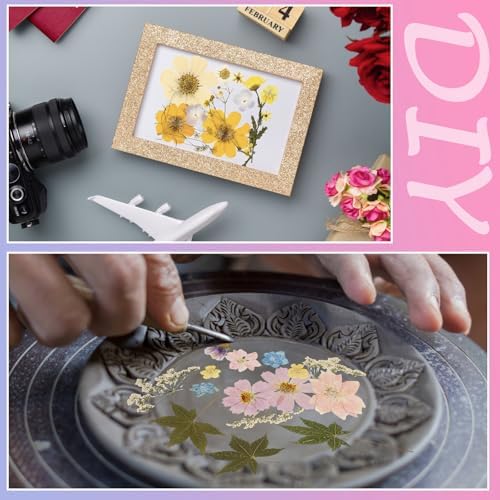 Nuanchu Real Dried Pressed Flowers for Craft Resin Mold DIY, Cottagecore