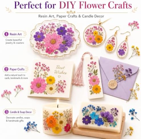 210 pcs Dried Flowers for Resin, Natural Flowers and Leaves Kit with Butterfly Stickers, Vacuum Sealed DIY Pressed Flowers for Jewelry Molds, Candle Soap Making, Scrapbook, Nail Art (Colorful-J)