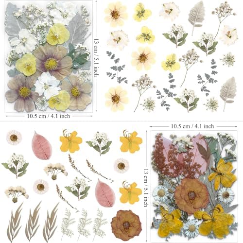 MIKIYA 90Pcs Dried Pressed Flowers for Resin Molds, Vintage White Bulk Real Natural Dry Floral for DIY Art Crafts, Epoxy Jewelry, Candle, Soap Making, Nails Decor, Phone Case
