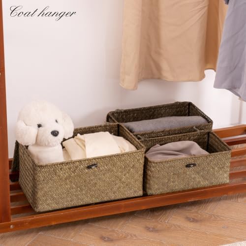 Nonam Wicker Storage Basket with Lid,Seagrass Shelf Basket Set of 3,Coffee