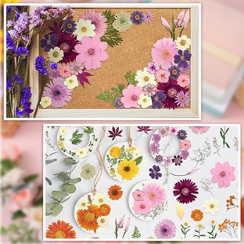 Nuanchu Dried Flowers Pressed for Crafts Resin Molds DIY, Large Sunflower