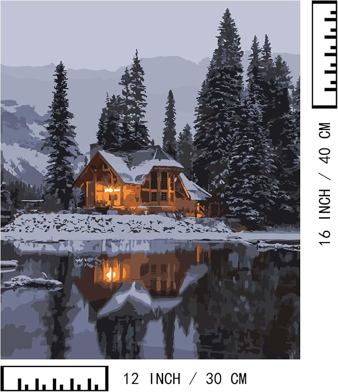 BAISITE Paint by Numbers Kit for Adults,12" Wx16 L 2 Pack Canvas for Painting Kits for Adults in Colorful Box 219220 Already Framed