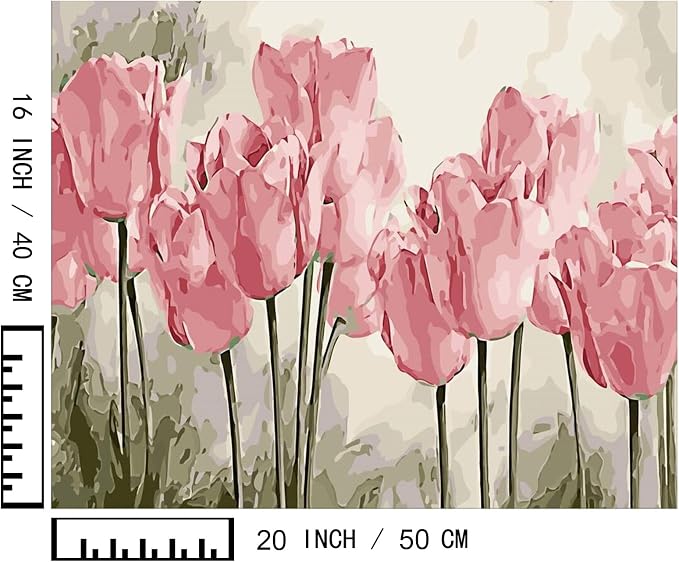 BAISITE Paint by Numbers Kit for Adults Beginners,20" Wx16 L Canvas for Painting Kits for Adults in Colorful Box Poppy Flowers-BSC002