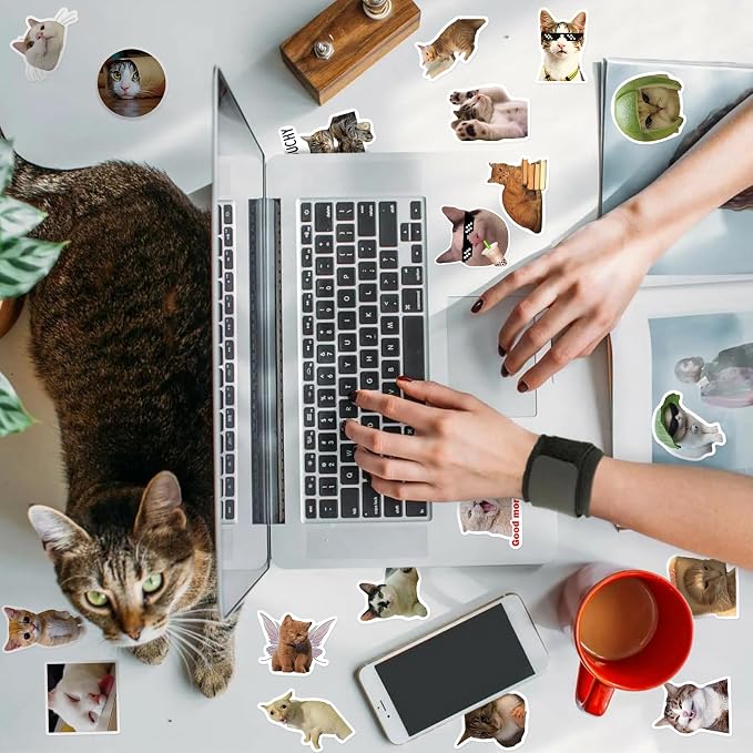 100 Pcs Cat Stickers for Water Bottles Laptop Guitar Suitcase