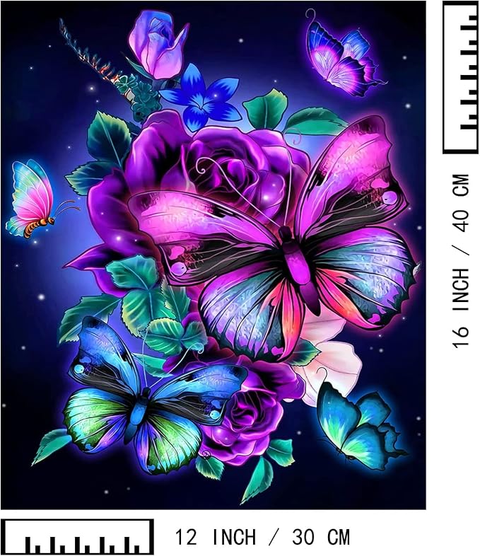 BAISITE Paint by Numbers Kit for Adults Beginners,12" Wx16 L 2 Pack Canvas for Painting Kits for Adults in Colorful Box-Butterflies 5152
