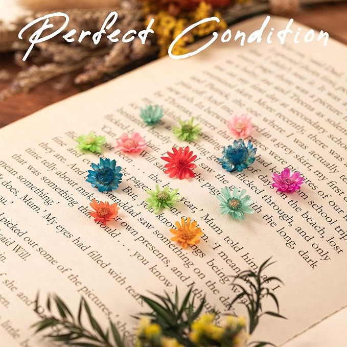 1150 PCS Small Dried Flowers for Crafts - Mini Dried Flowers for Resin, Tiny Natural Real Dried Pressed Flowers Bulk for DIY Jewelry Earrings Epoxy Molds, Candles Soap Making
