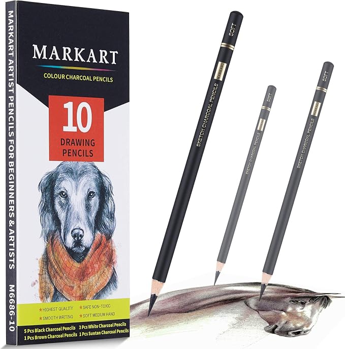 MARKART 10 Pack Professional Charcoal Pencils for Drawing | Black & White Charcoal Pencils for Sketching, Shading, Blending, Portrait, Pastel Chalk Pencils for Beginners & Artists
