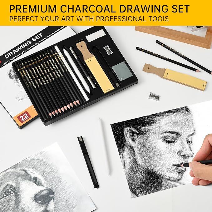 Drawing Sketching Pencil Set, 22 Pcs, Graphite Pencils (10B-6H) | Art Pencil Kit with Black and White Charcoal Pencils, Charcoal Sticks, Stumps, Eraser, Sharpeners, Sketch Set for Artists