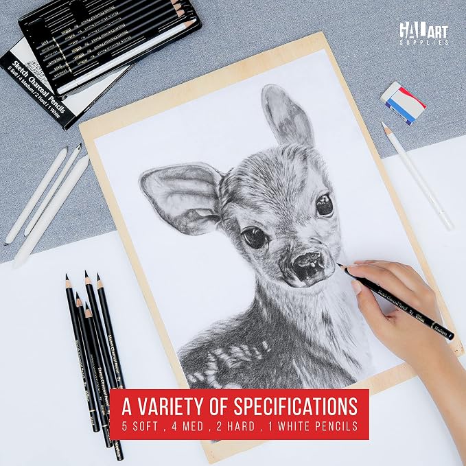 Charcoal Drawing Set with Organizer Tray β 12 Pieces Soft, Medium, Hard and White Charcoal Pencils for Drawing, Shading and Sketching for Artists and Beginners