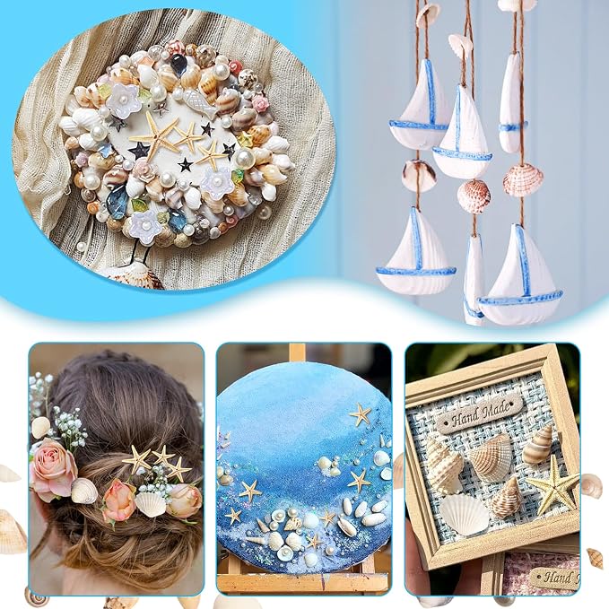 1200 Pieces Tiny Sea Shells Small Natural Starfish Mixed Ocean Beach Spiral Seashells for Home Decorations,Wedding Decor,Candle Making,Beach Theme Party,DIY Crafts and Vase Filler