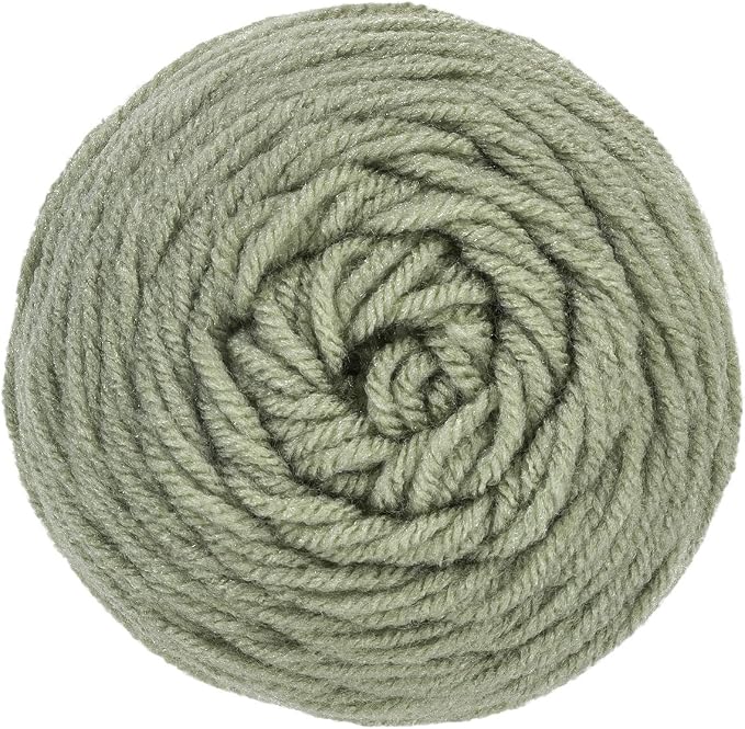 RED HEART Super Saver Yarn, Frosty Green (Pack of 2)