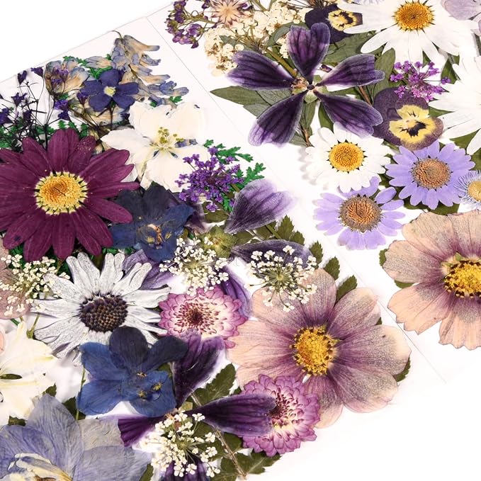 80PCS Pressed Dried Flowers & Leaves, Natural Color