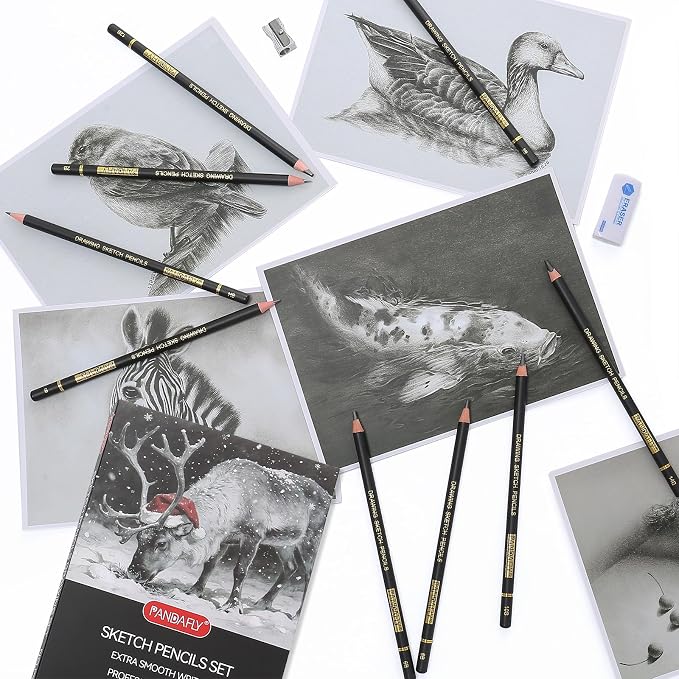 PANDAFLY Drawing Sketch Pencil Set, 16 Piece, 4H to 14B Graphite Pencils | Includes Erasers and Pencil Sharpener, Pro Art Pencil Kit for Drawing, Sketching, Shading, Ideal for Artists and Beginners