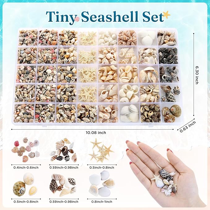 Zefy 23 Types Small Sea Shells for Crafts, 1200 Pcs Tiny Seashells | Shells with Mixed Size Starfish, Mini Shells for Vase Filler Beach Theme Party Home Decor