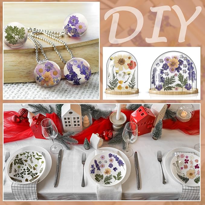 Nuanchu Real Natural Dried Pressed Flowers Greenery for Craft Resin Mold