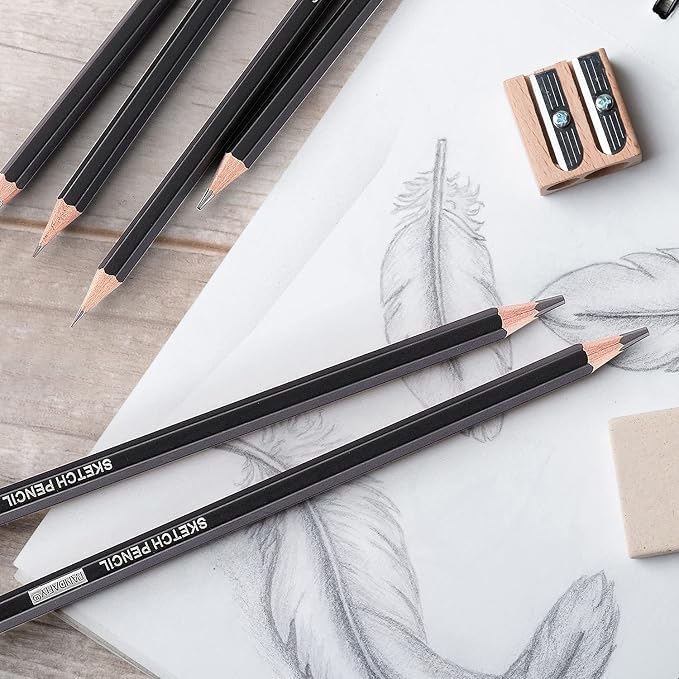 PANDAFLY Drawing Sketching Pencil Set, 12 Pack, Graphite Pencils (14B - 2H) | Ideal for Drawing Art, Sketching, Shading, Artist Pencils for Beginners & Pro Artists