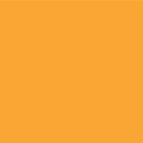 Faber-Castell Polychromos Artists' Single Pencil - Colour 113 Orange Glaze