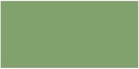 DecoArt Americana Acrylic Paint, 2-Ounce, Aloe